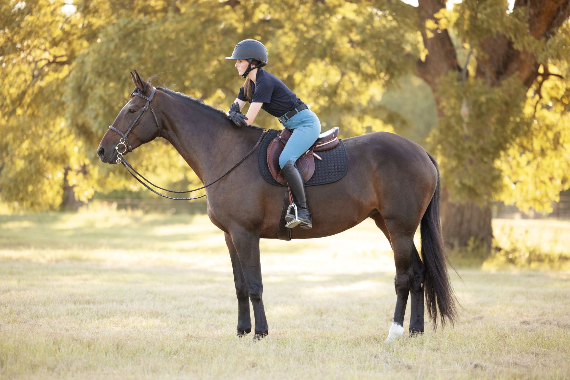 rider sitting on calm dark horse during relaxed moment in sunny field showing quiet communication and balance, hunter jumper horses for sale